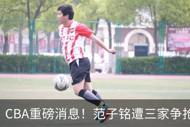 CBA重磅消息！范子铭遭三家争抢 杜锋是心理学博士 刘铮回上海男篮